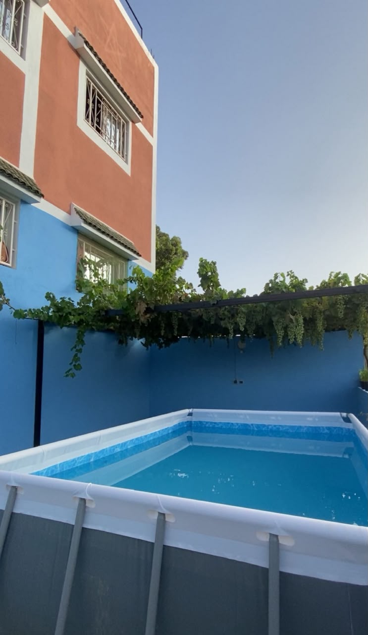 Piscine bleue sous la treille de vigne