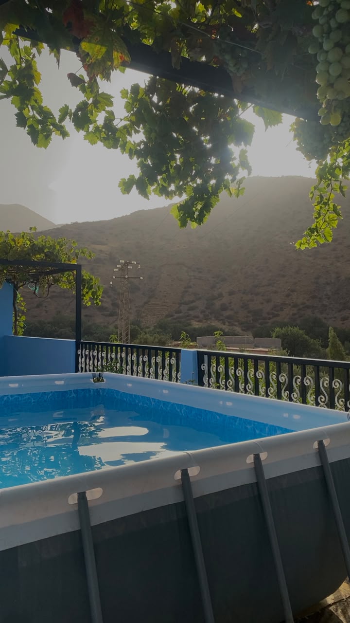 Piscine sous la treille de vigne avec vue sur les collines