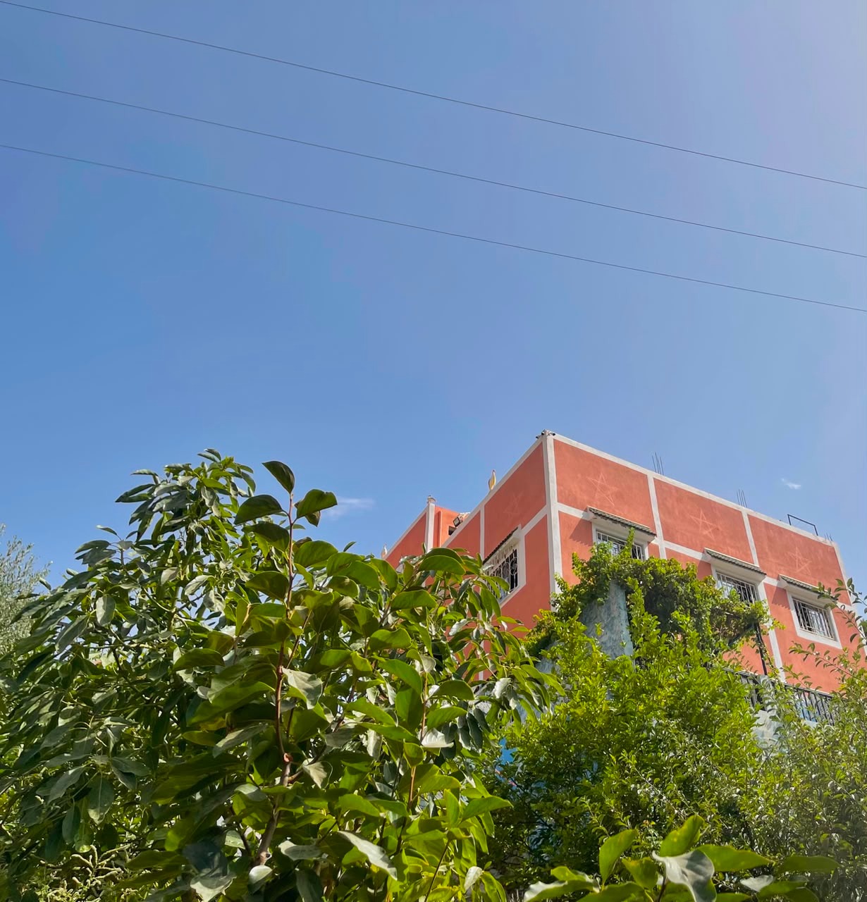 Vue du domaine privatisé de Tayri Aura entouré d'oliviers dans l'Atlas